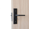 multicolored wpc pressed door wpc sheet wpc frame with EPS foam 45mm